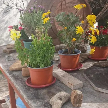 Grenta * Karousádes