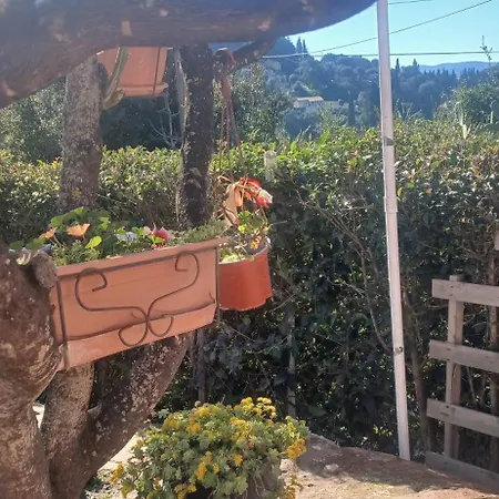Grenta Appartement