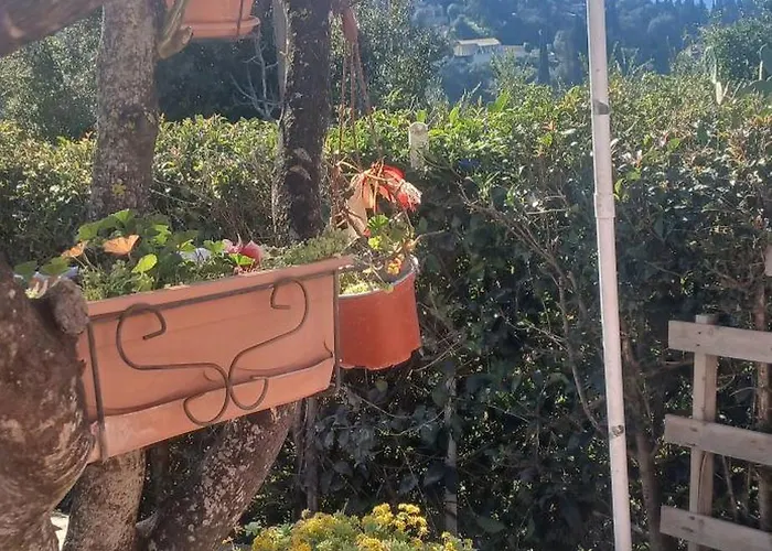Grenta